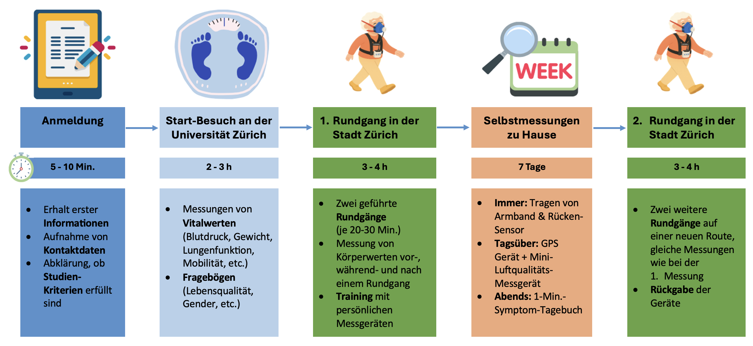Studie Ablauf